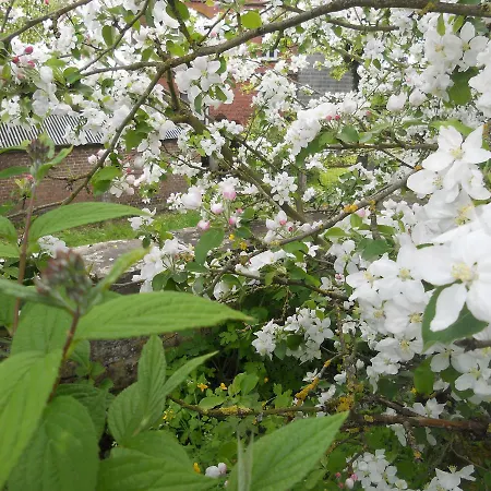 Ferme De Guersignies Bas-Lieu