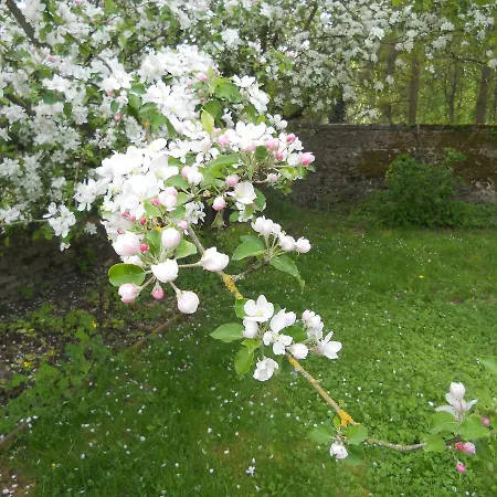 Ferme De Guersignies Panzió 4*