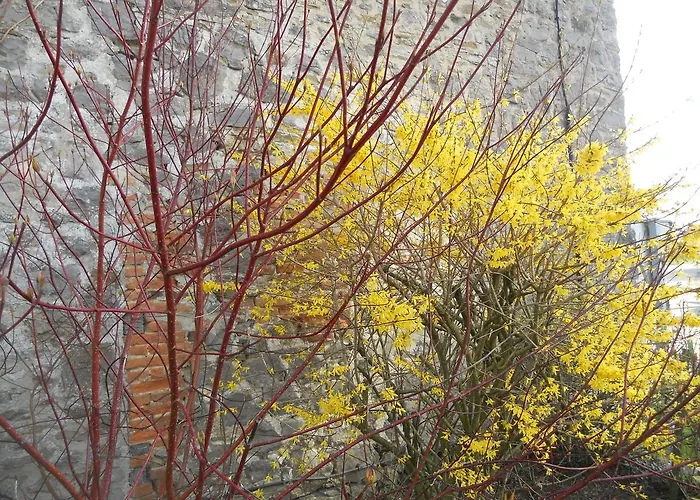 Couette-café Ferme De Guersignies