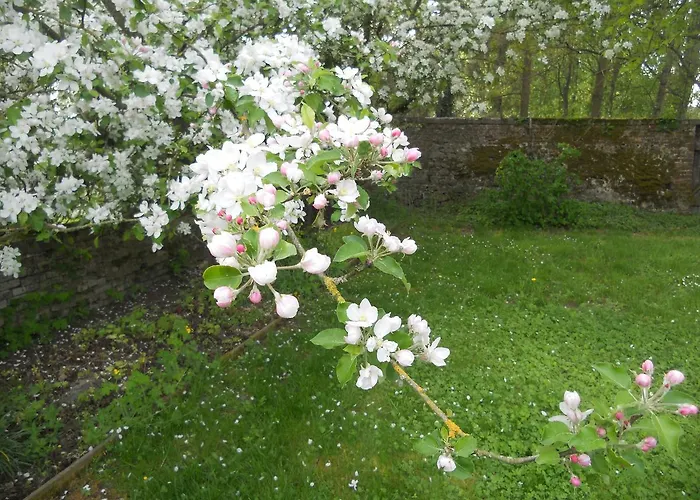 Ferme De Guersignies Couette-café 4*